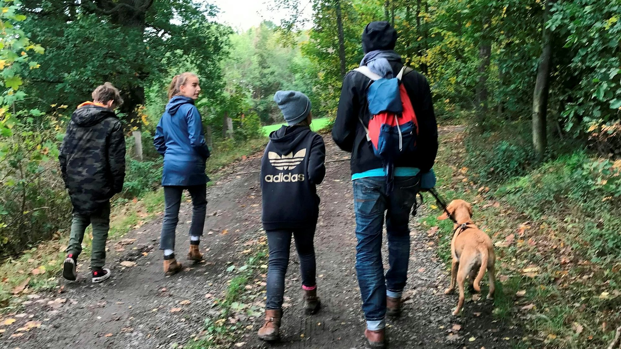 Im Wald - wie hier in Herchen an der Sieg - gibt es für Zwei- und Vierbeiner viel zu erleben. In Schutzgebieten müssen Hunde an der Leine bleiben!