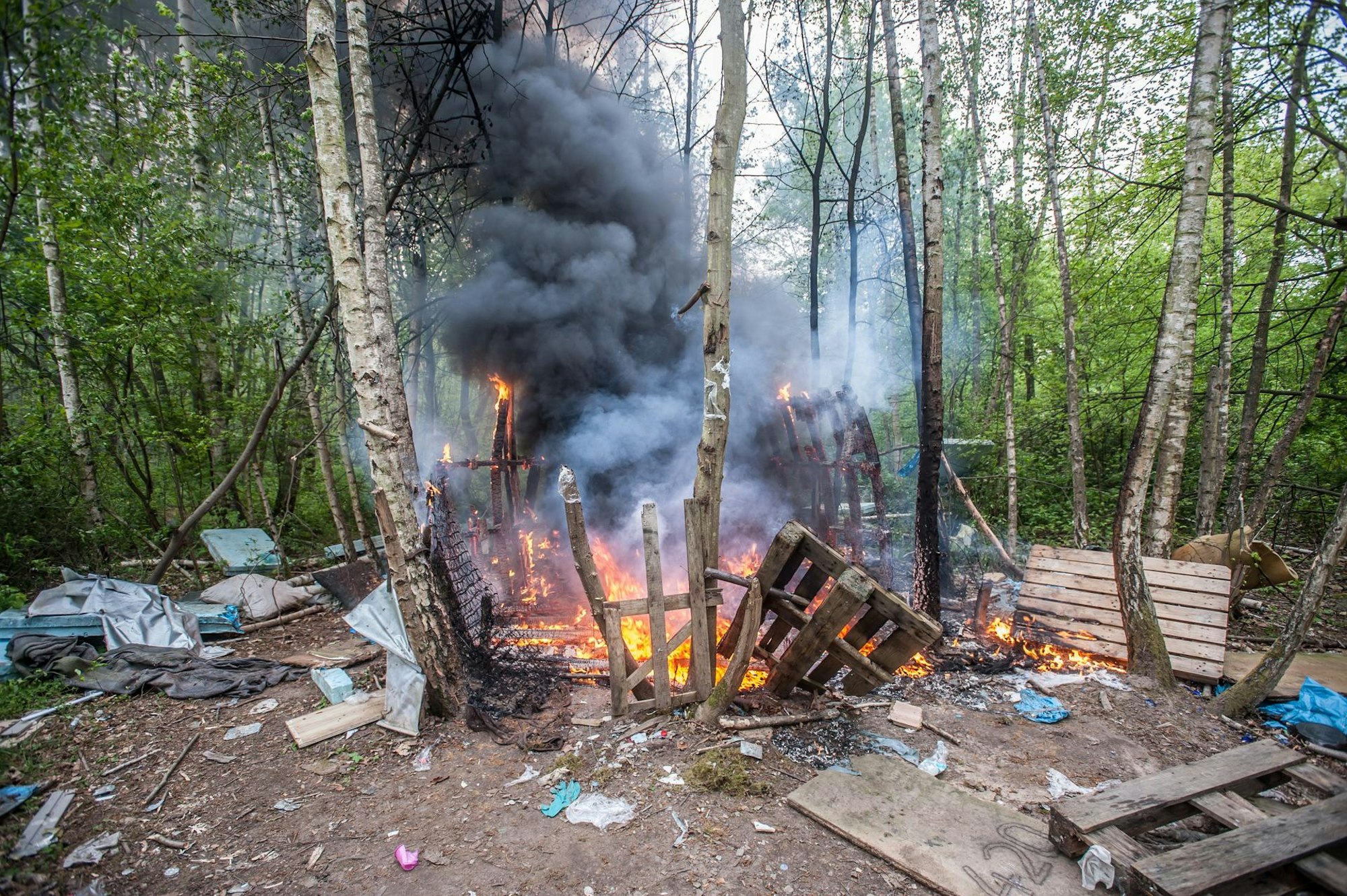 feuer-im-wald_rar_rle_04292022ALF_5889