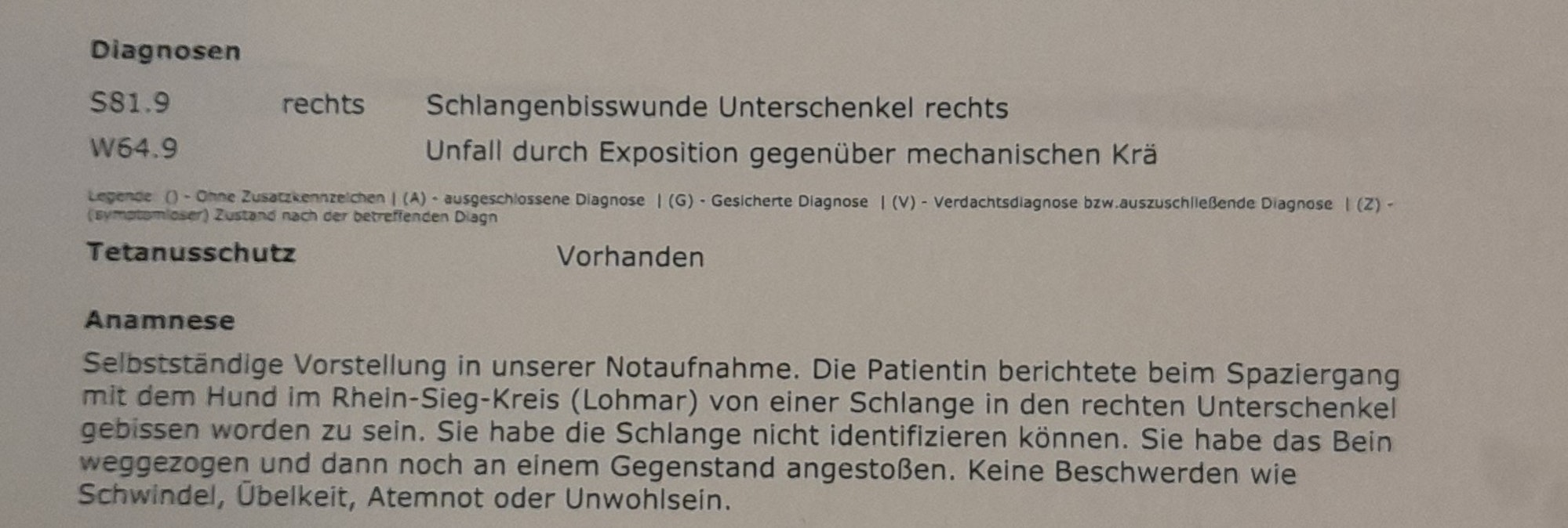 Neuer Inhalt (1)