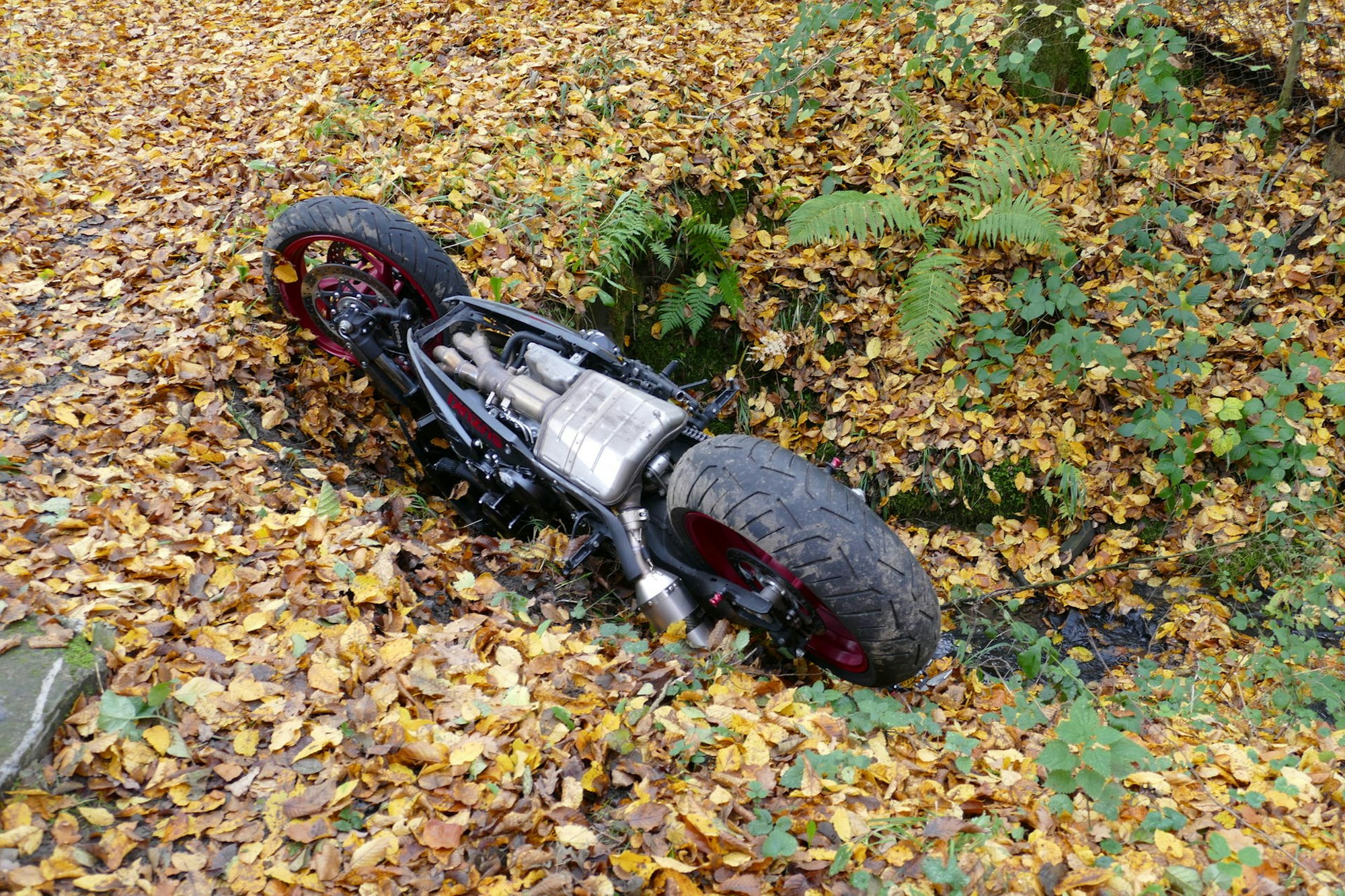 Neuer Inhalt