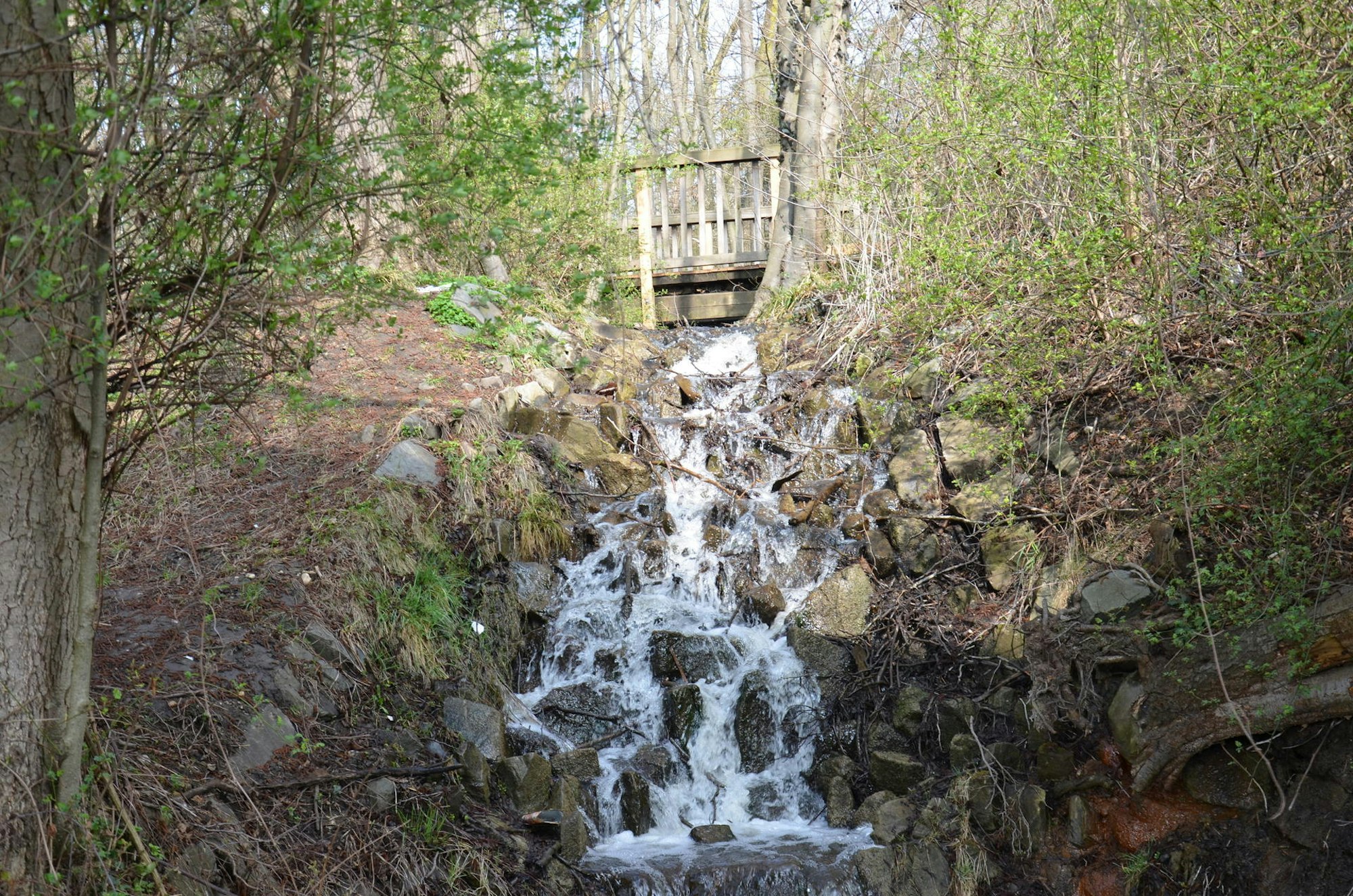 Rätselwanderung Bild 6