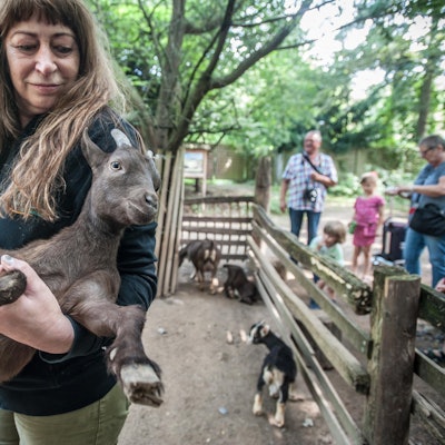 wildpark_RLE_Leverkusen08122021ALF_7383