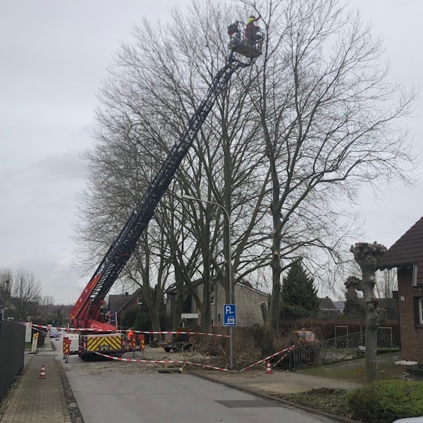 bb-Platanen-Feldstrasse-privat