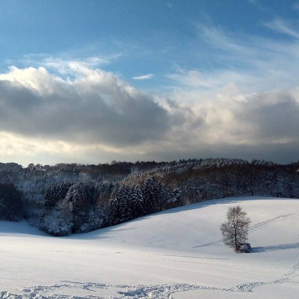 Winter Schnee RodelnBergisches Reiche_HDR