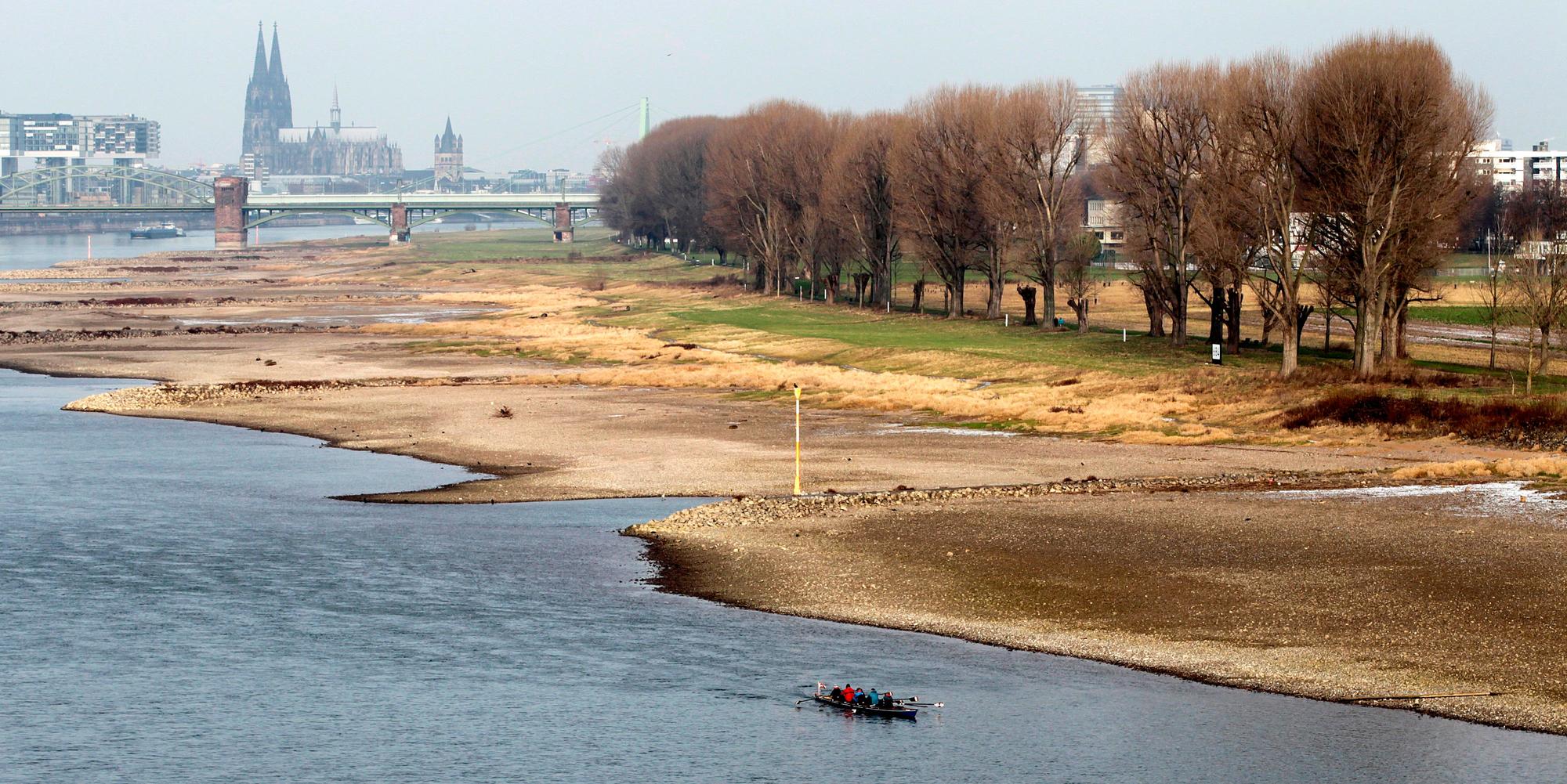 20170103_tb_Rheinimpressionen_007
