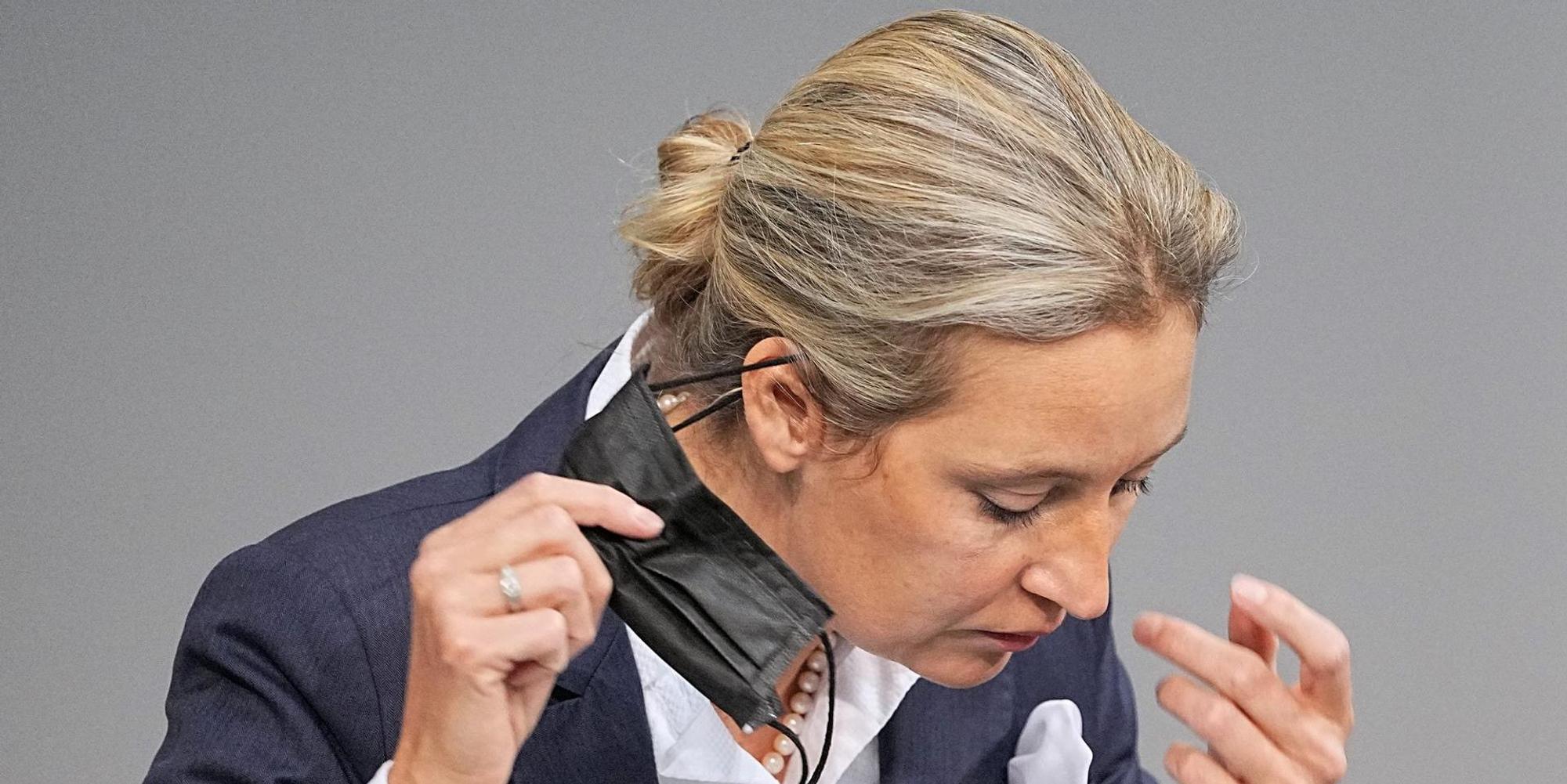 Weidel DPA 081221