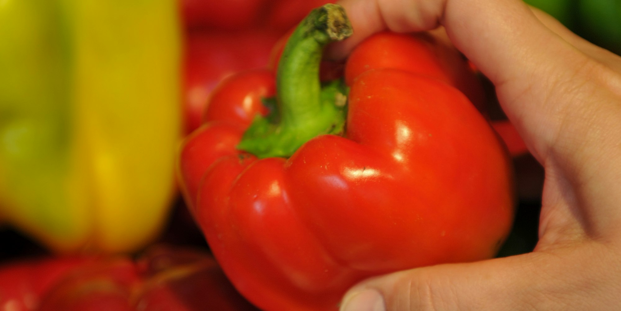 Bio_Lebensmittel_dpa