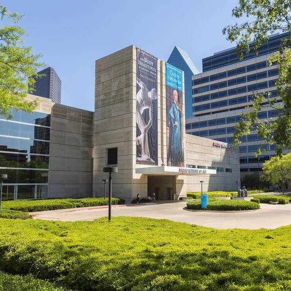 Dallas Museum of Art IMAGO