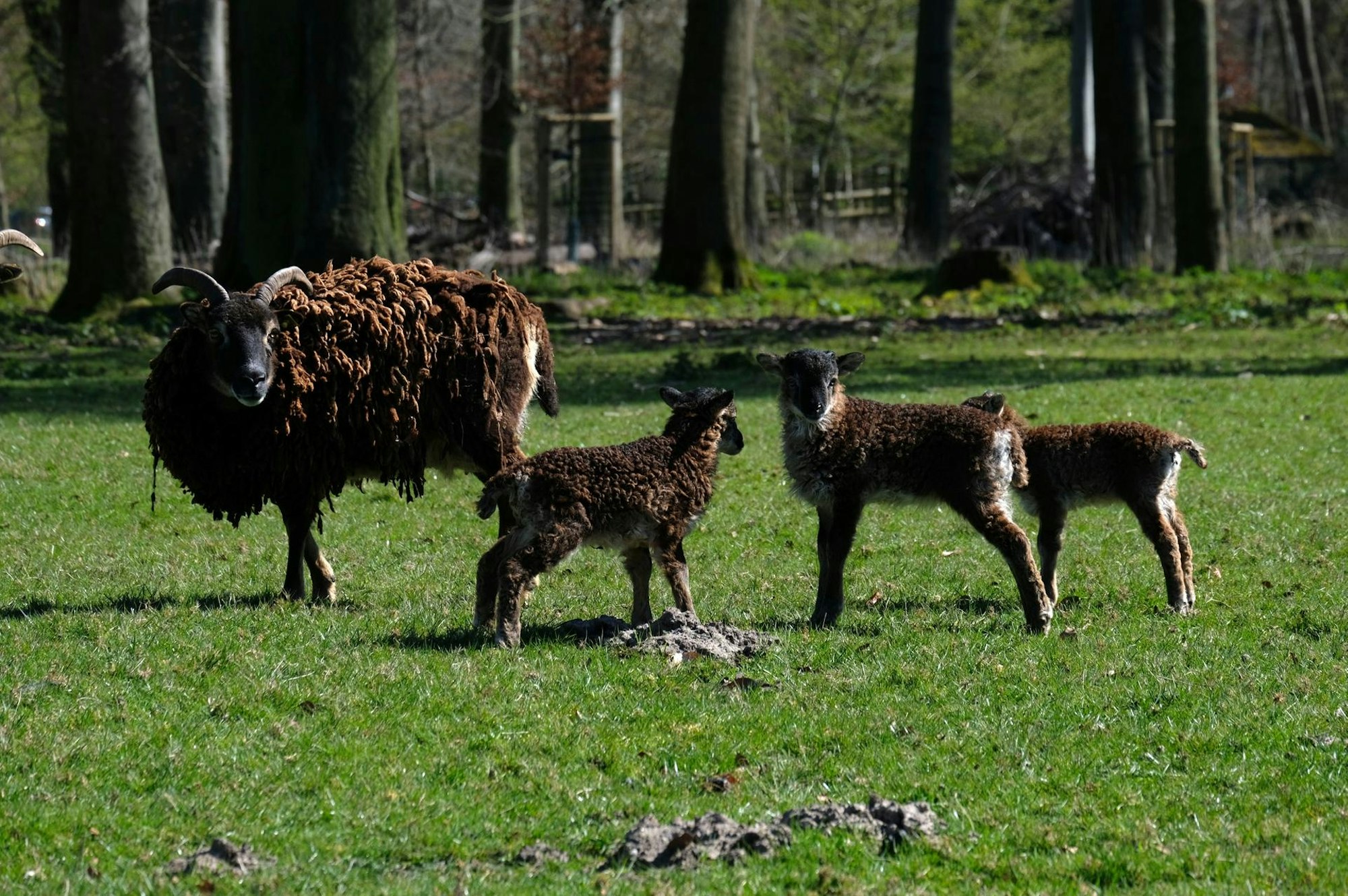 Neuer Inhalt (4)