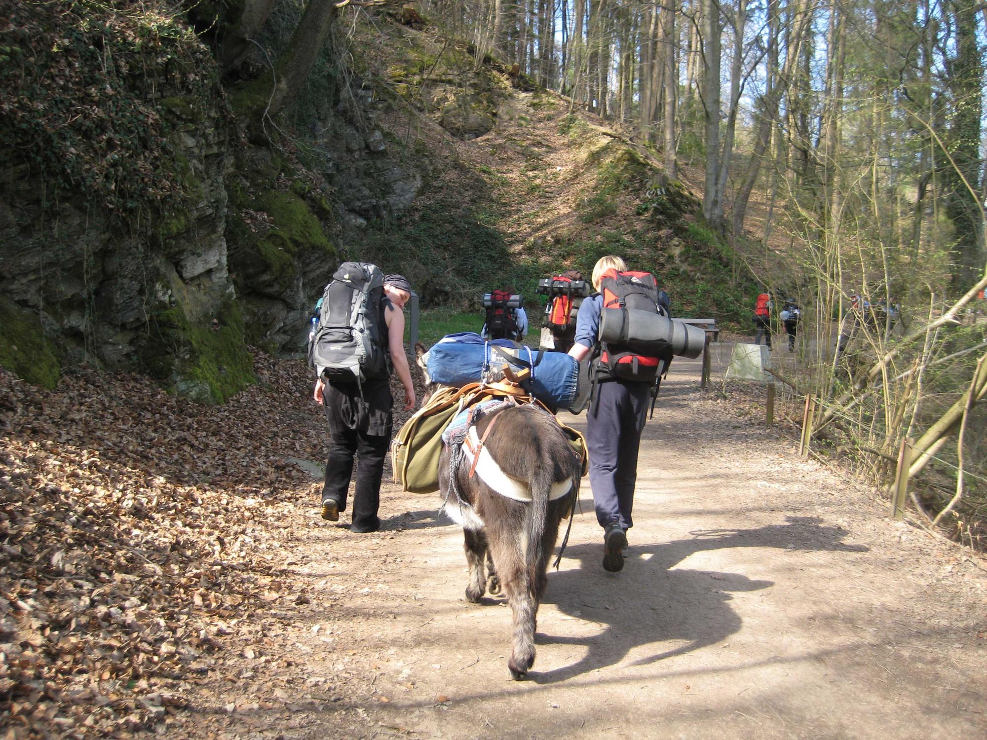 tierwerkstatt altenberg