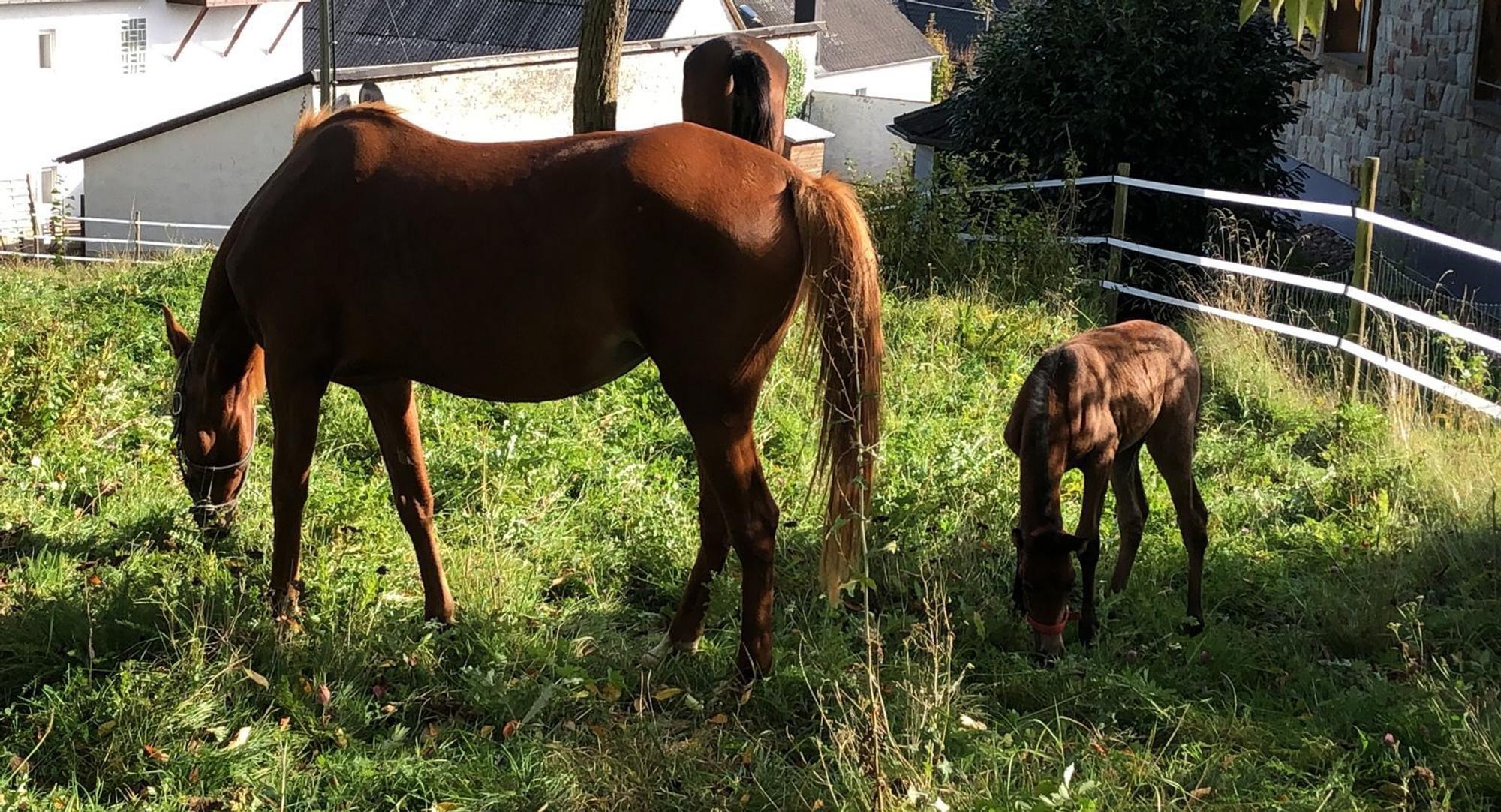 Neuer Inhalt