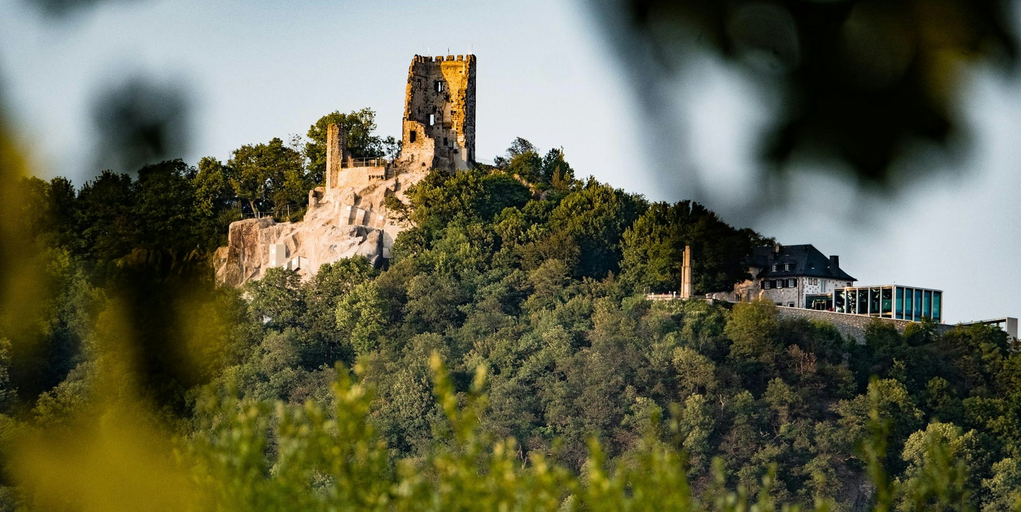Heimatcheck Drachenfels Bad Honnef
