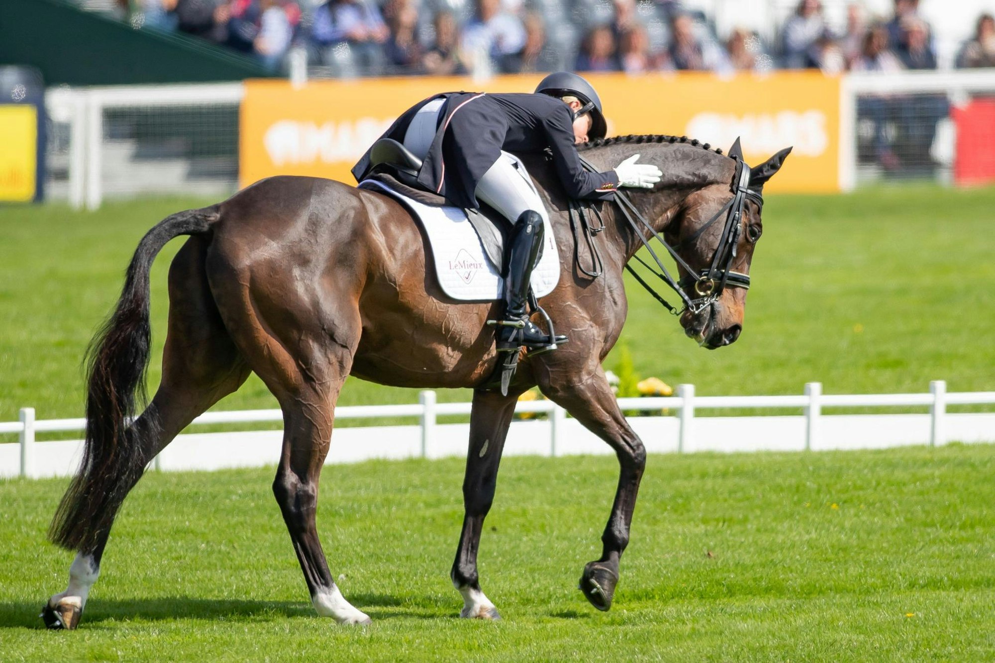 Rosalind Canter Allstar IMAGO