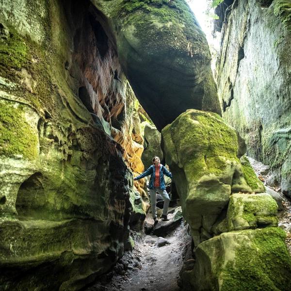 Moosbewachsene Felsen und schattige Wege
