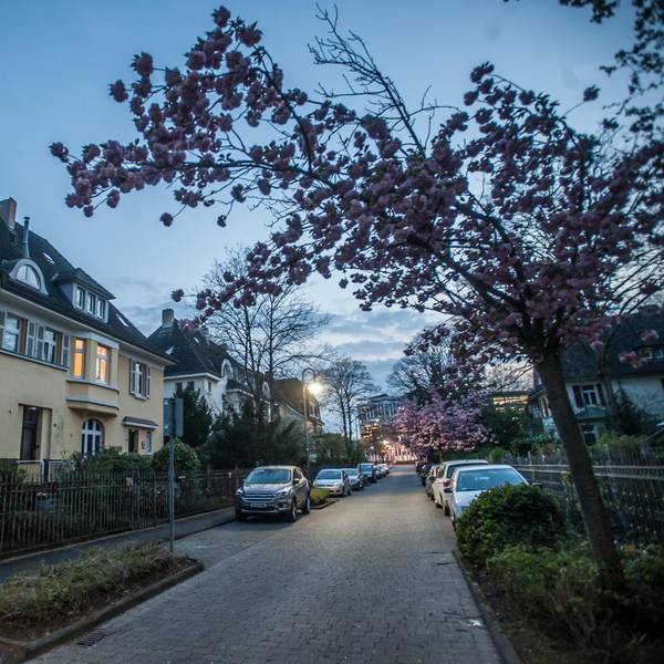 beamtenkolonie_abends_rar_rle_04142022ALF_4914