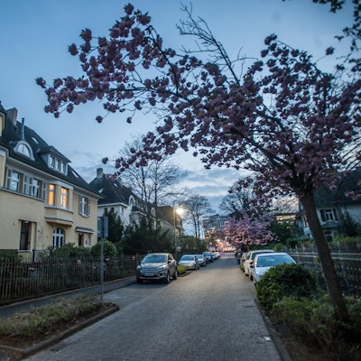 beamtenkolonie_abends_rar_rle_04142022ALF_4914