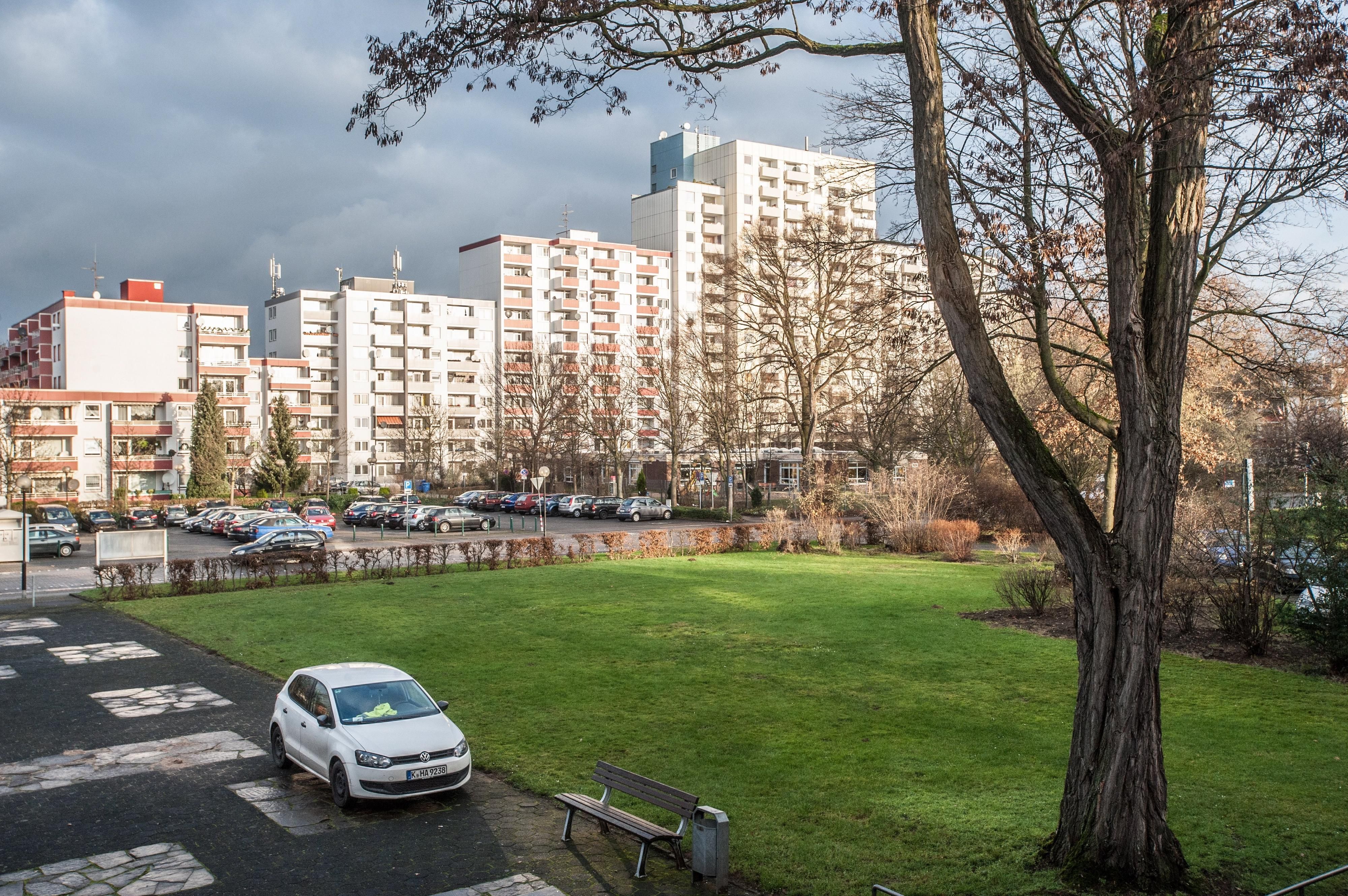 leverkusen-manfort-ALF_01032016