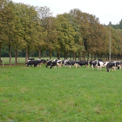 Heimatcheck Odenthal red.