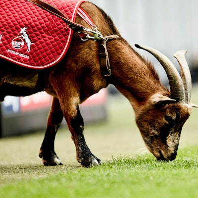 Hennes_20160827_tffoto__TF17282