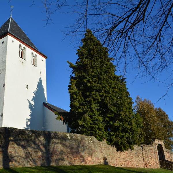 Neuer Inhalt (1)