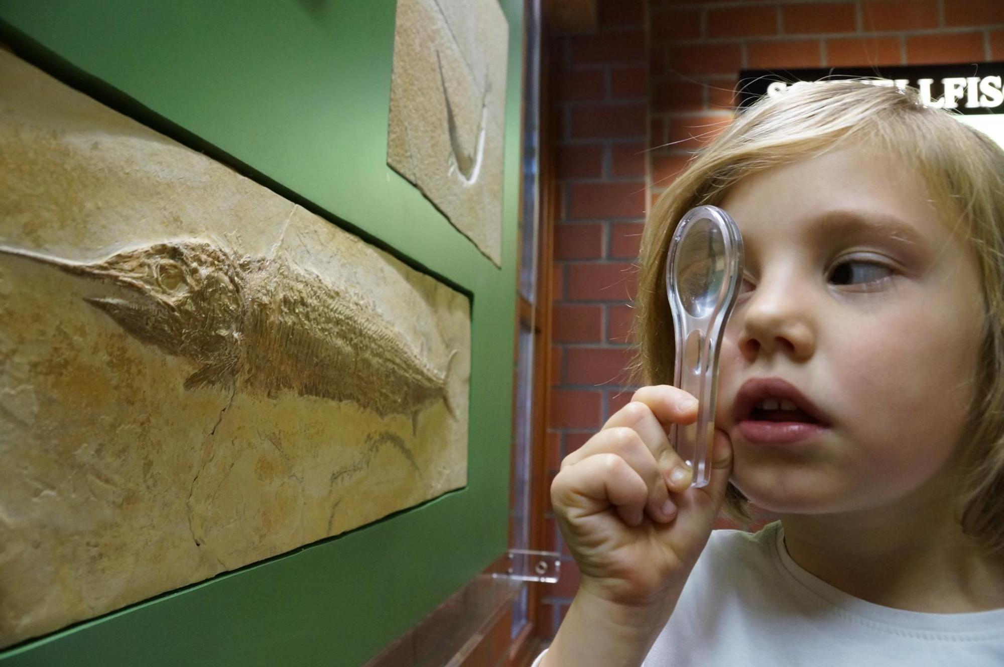 Tierpark und Fossilium Bochum
