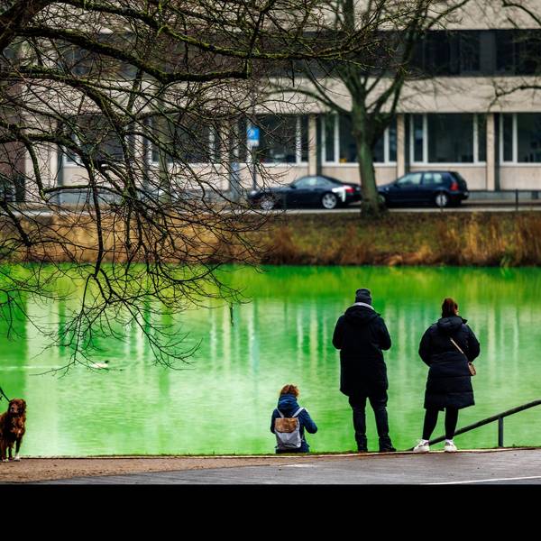 Kiel Wasser grün 1