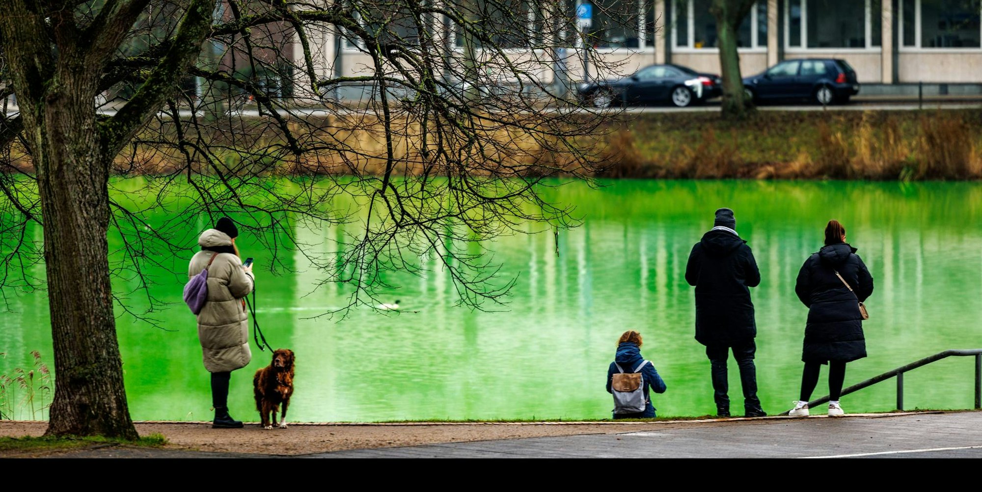 Kiel Wasser grün 1