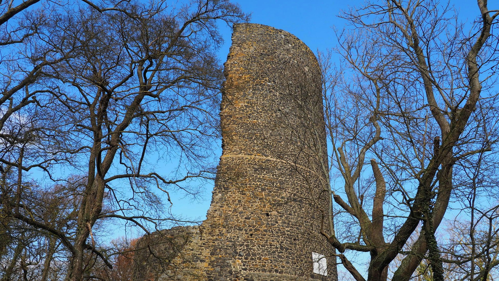 Tomburg Sven von Loga