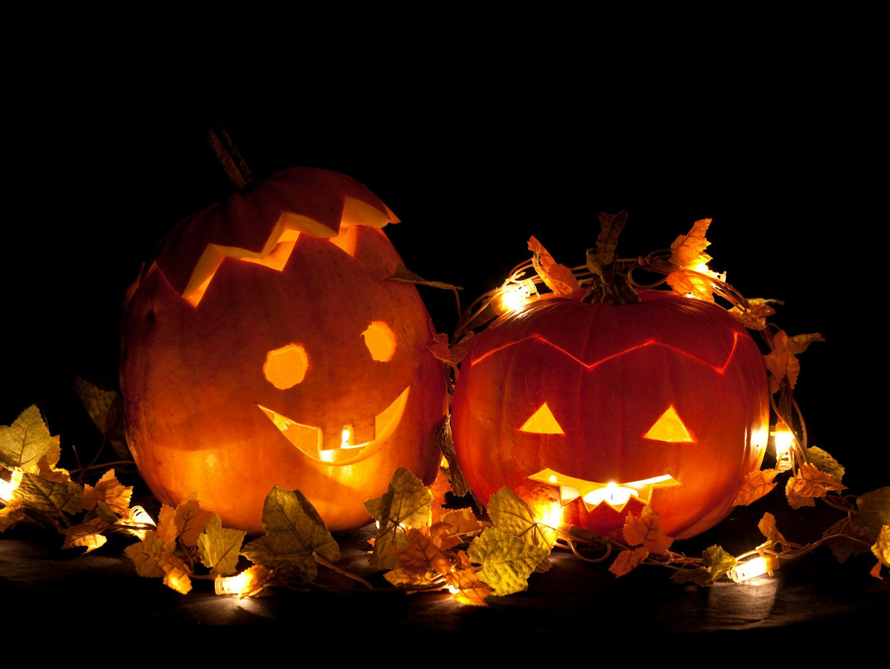 AdobeStock_19724142