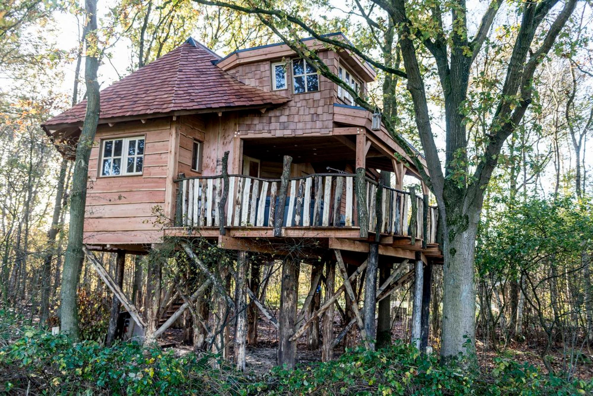 Baumhaus Safari Farmlodge Westerbergen_Niederlande_Drenthe