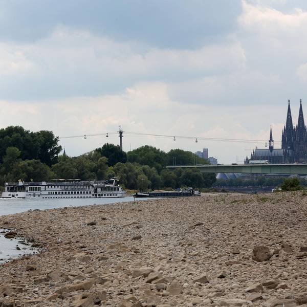 Niedrigwasser Rhein