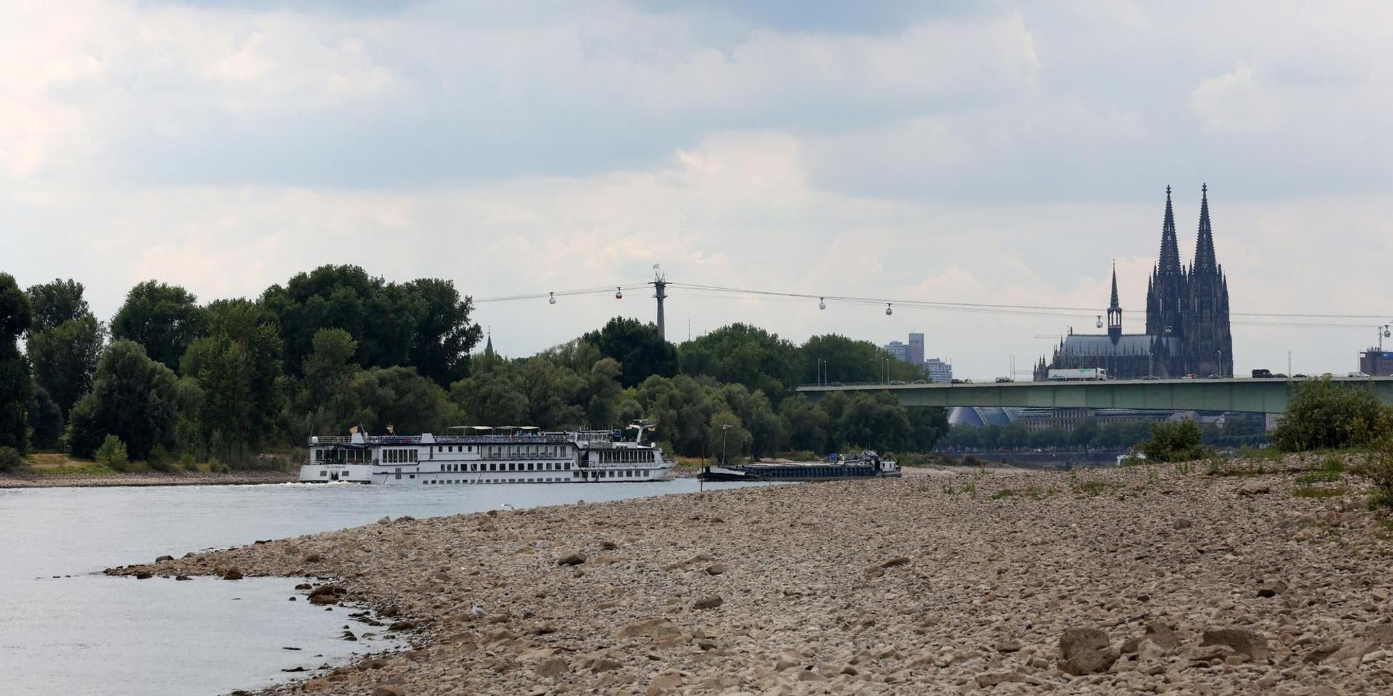 Niedrigwasser Rhein