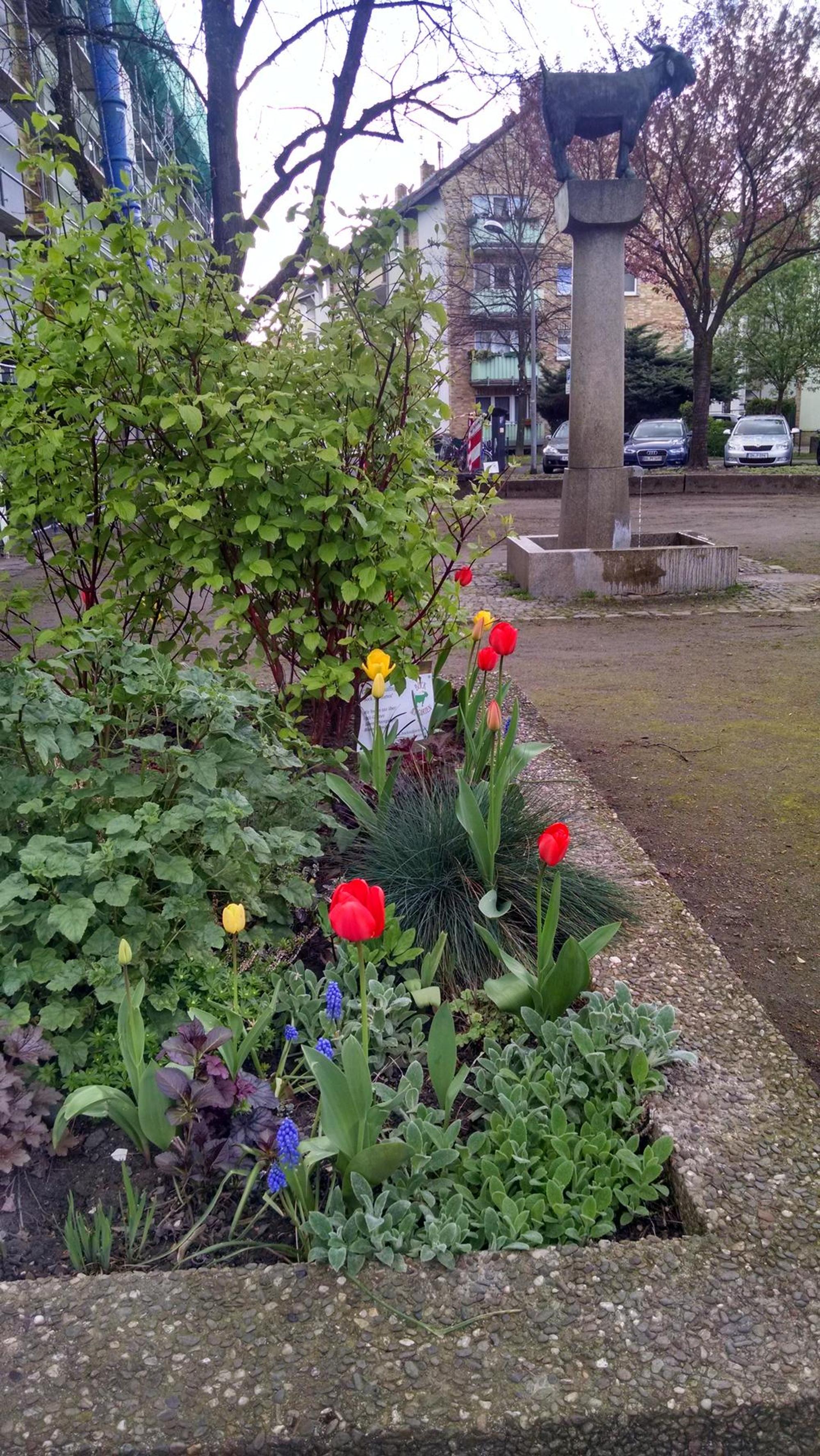 Bock auf Garten