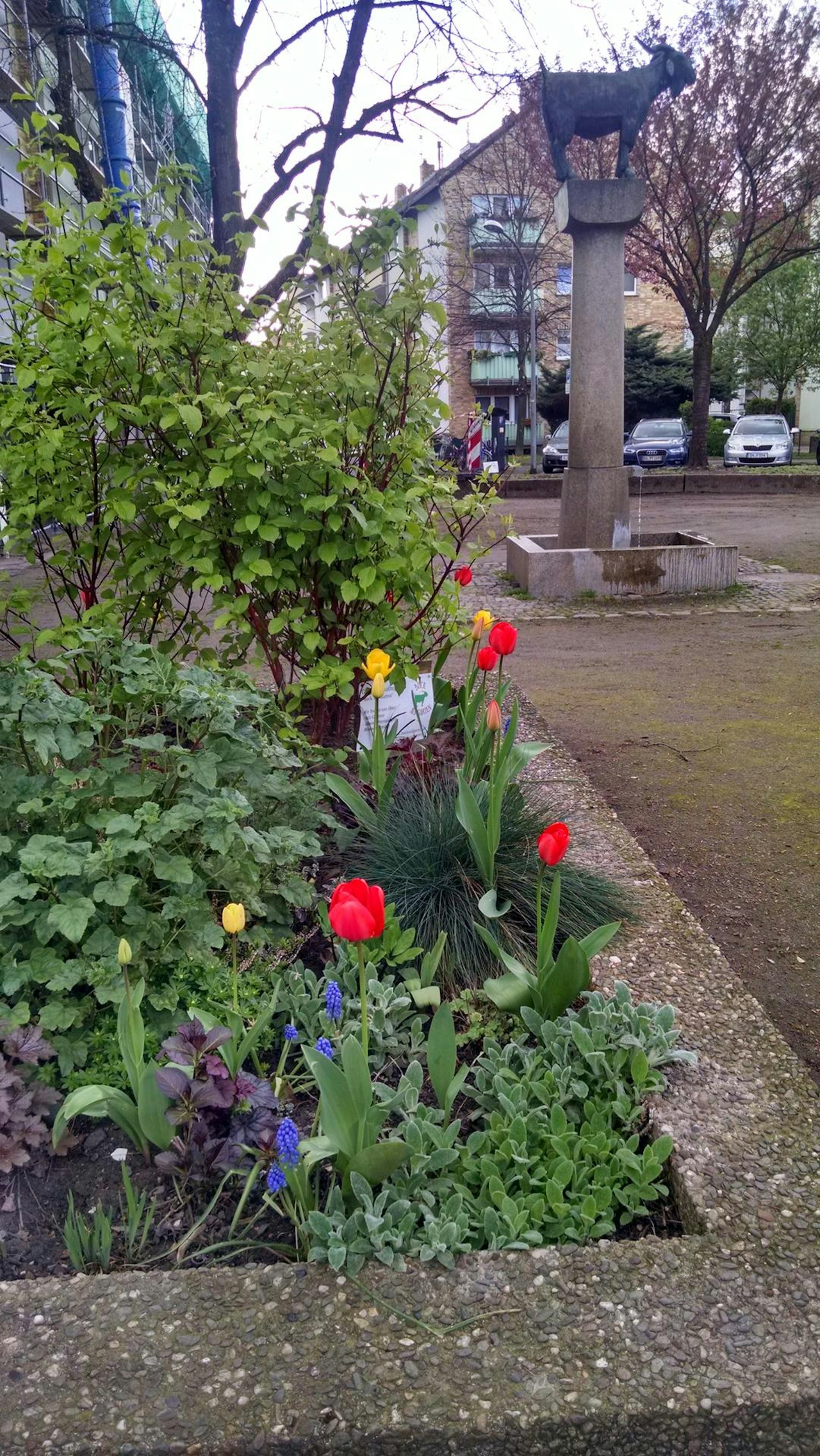 Bock auf Garten