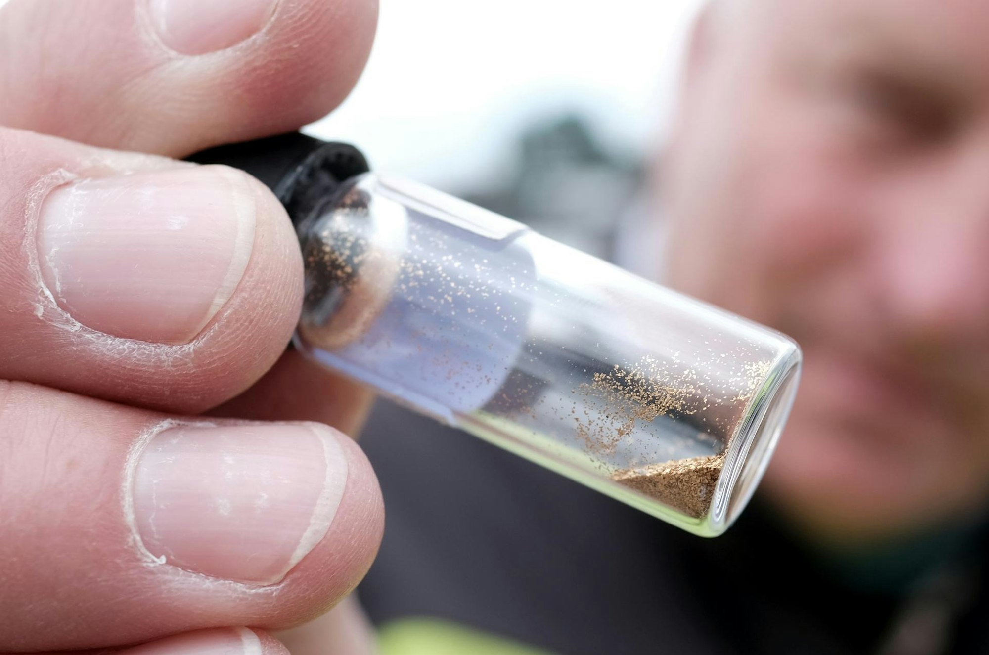 Gold waschen am Rhein20200525-Max-sommerserie-37