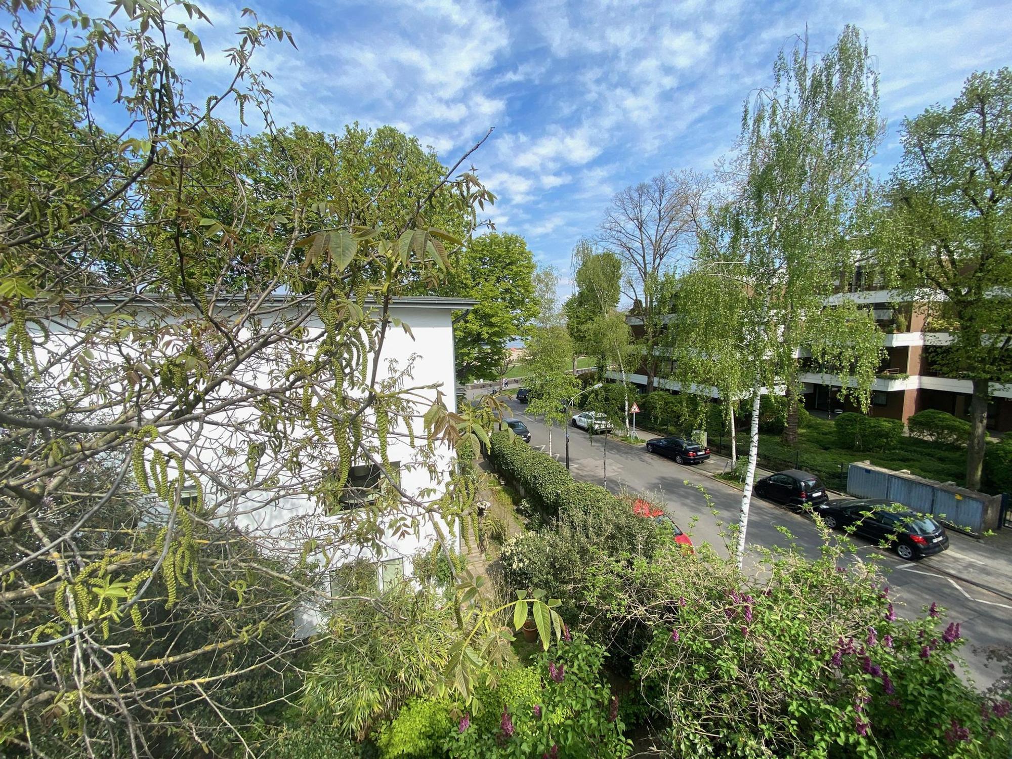 RK_Bauhaus_Blick von der Terrasse