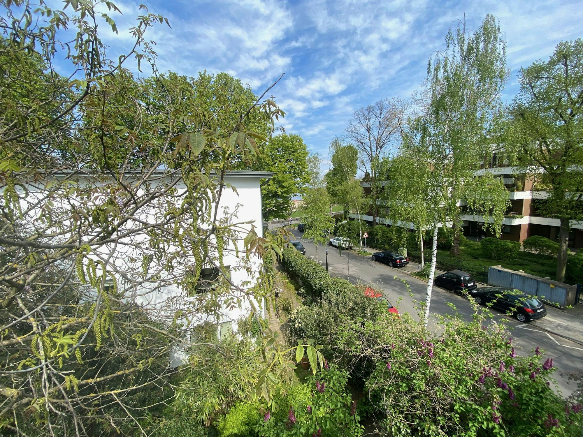RK_Bauhaus_Blick von der Terrasse
