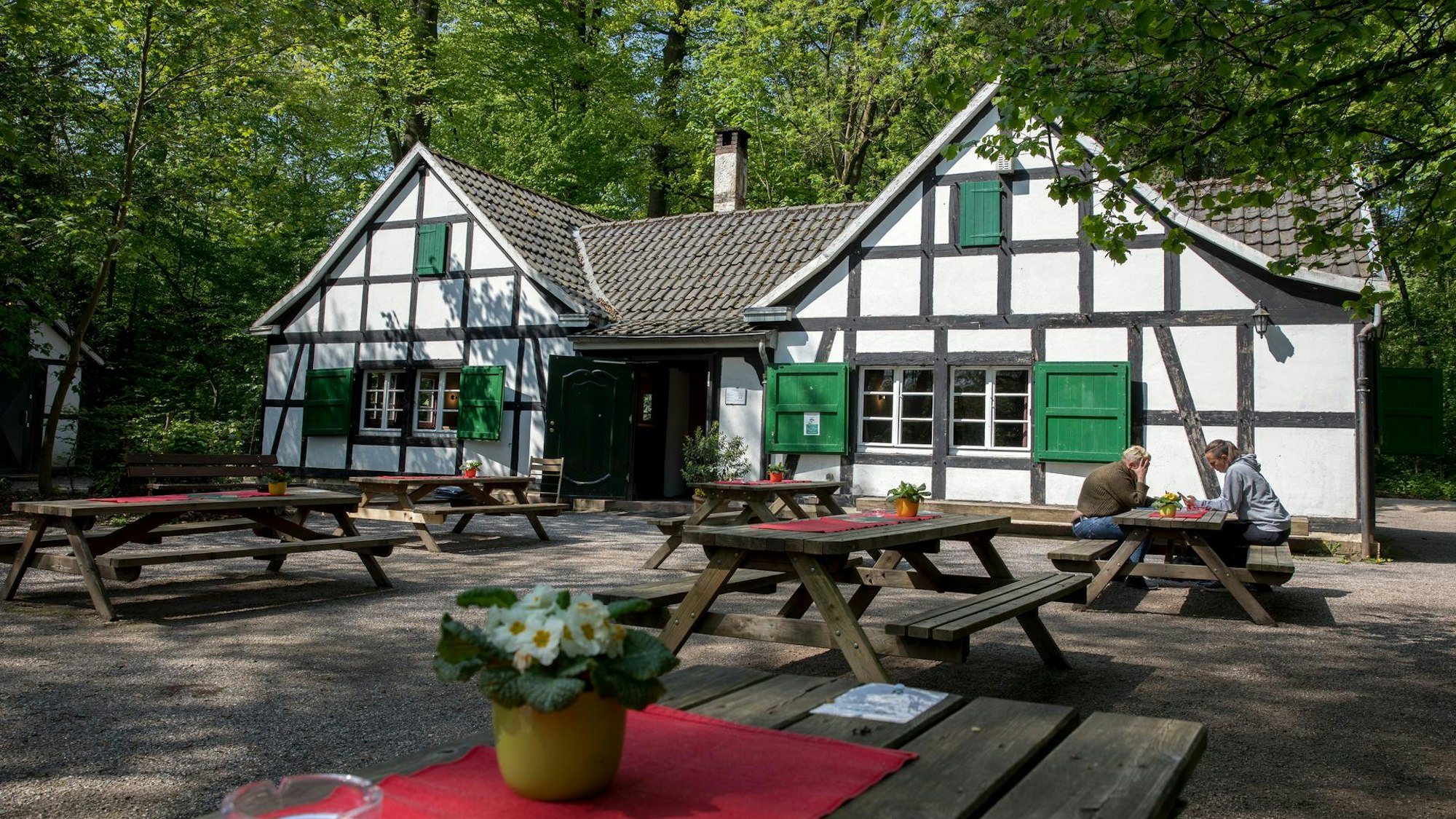 Fachwerkhaus mitten im Wald