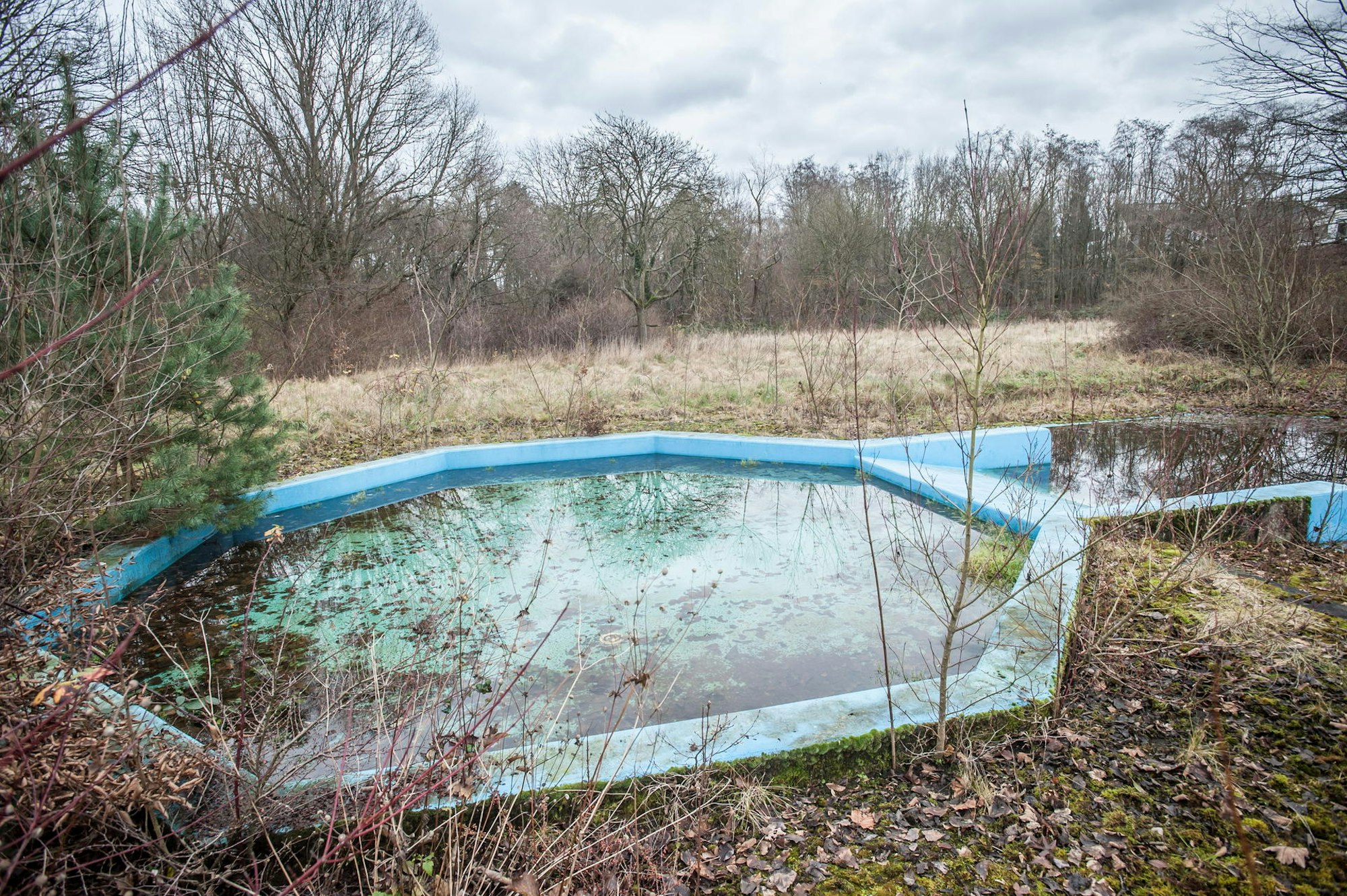 auermuehle_LEV_rar_RLE_12032021ALF_5498