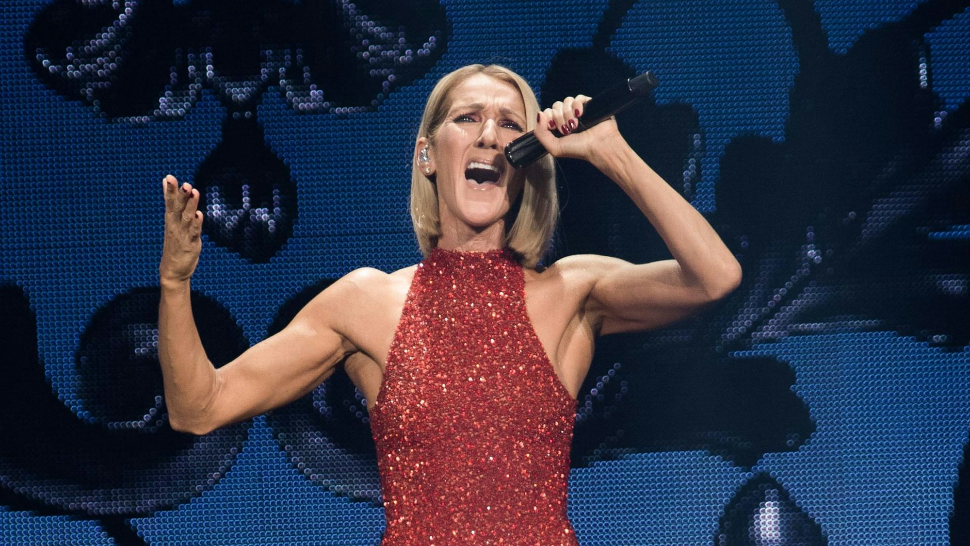 Céline Dion bei einem Auftritt.