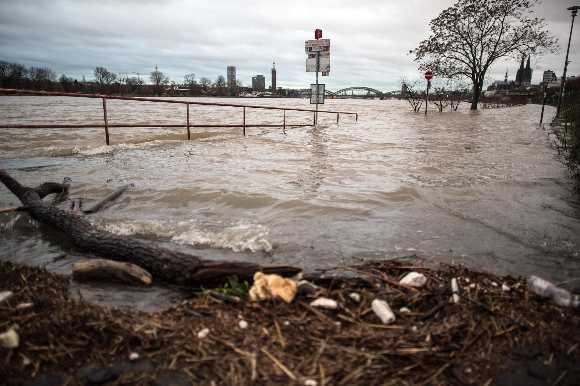 Hochwasser Rhein dpa