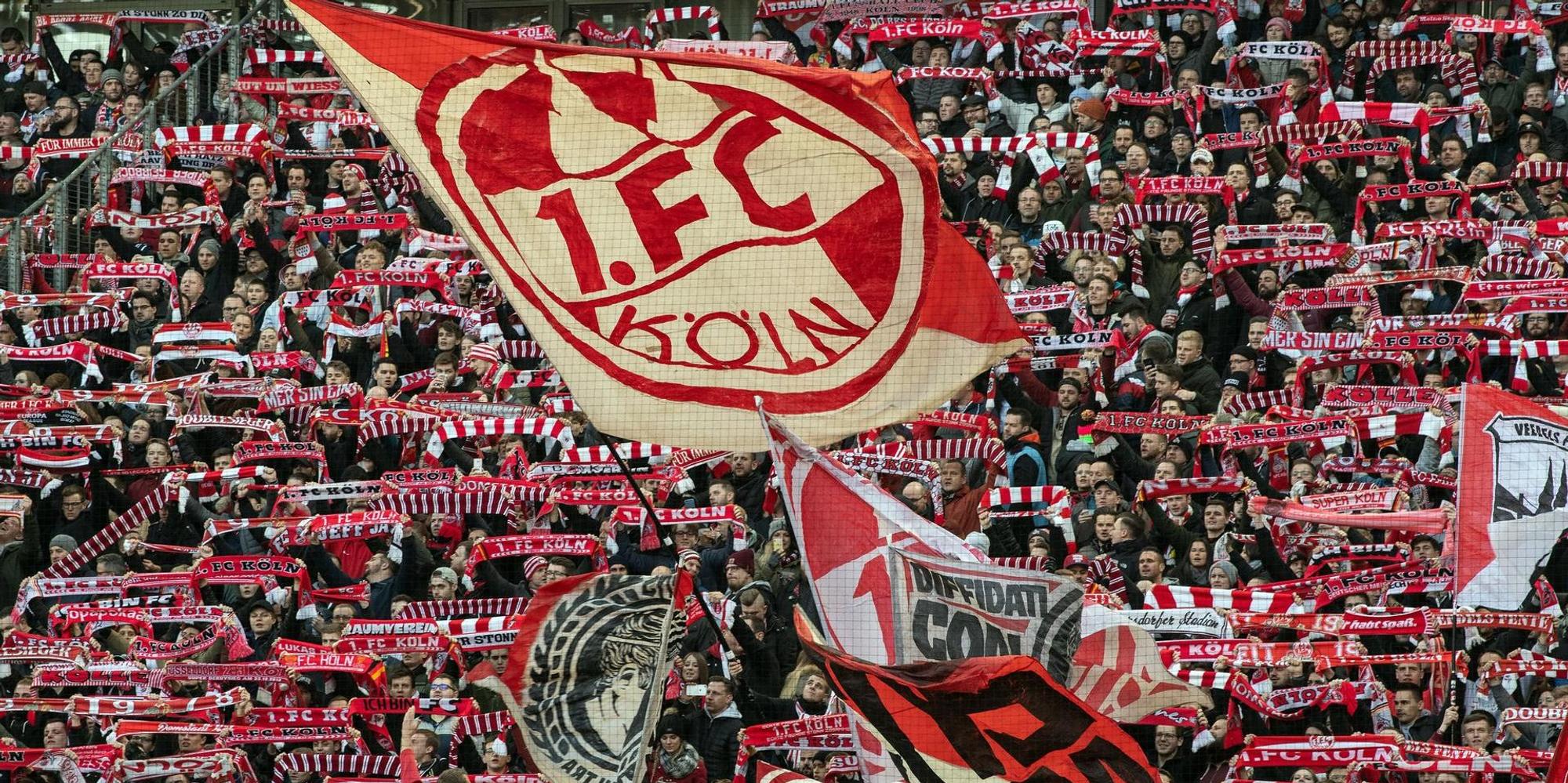 FCFans