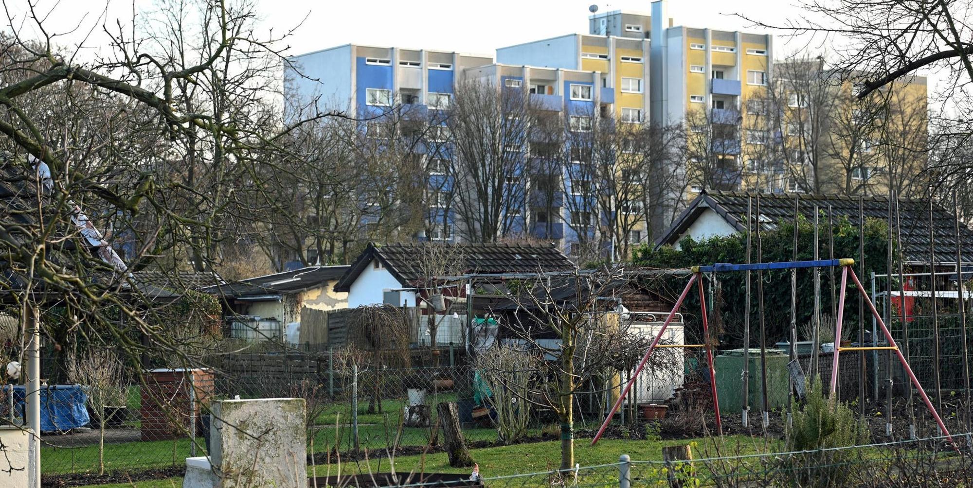 Eine Kleingartenanlage in Köln