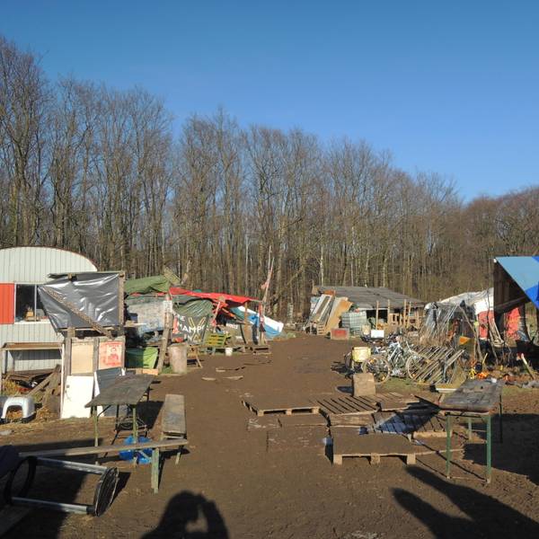 Hambacher Forst
