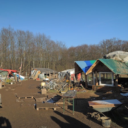 Hambacher Forst