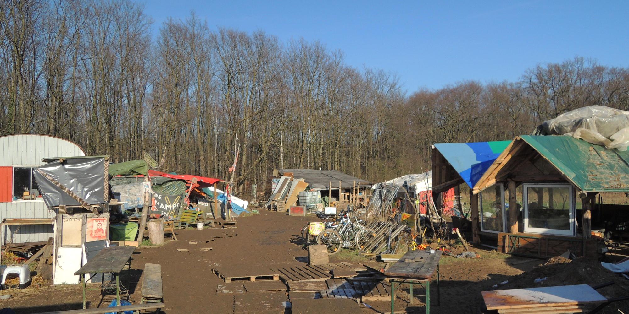 Hambacher Forst