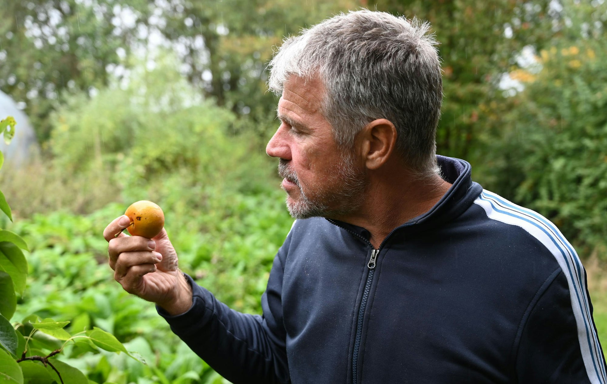essen aus dem garten mann