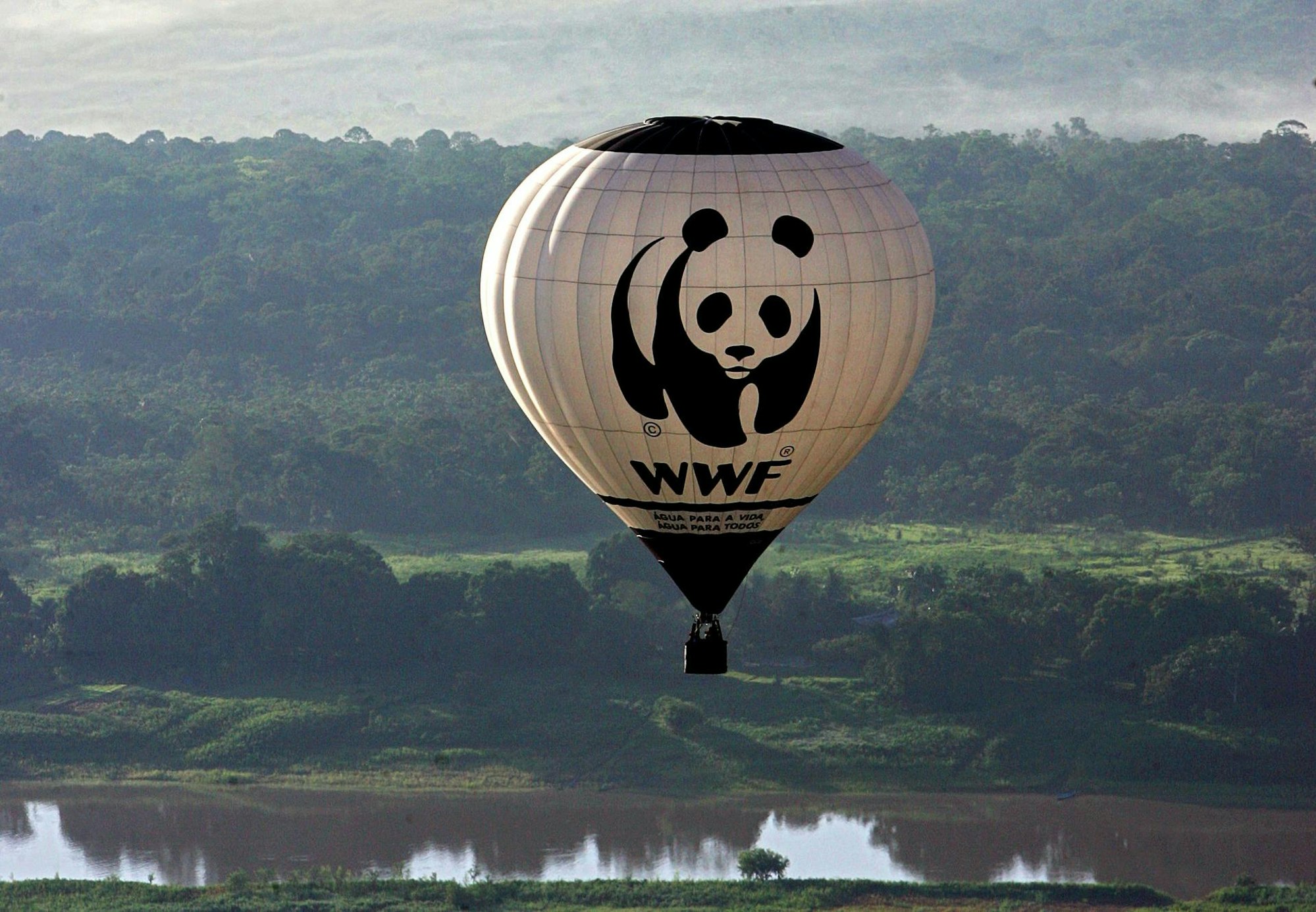 WWF Ballon