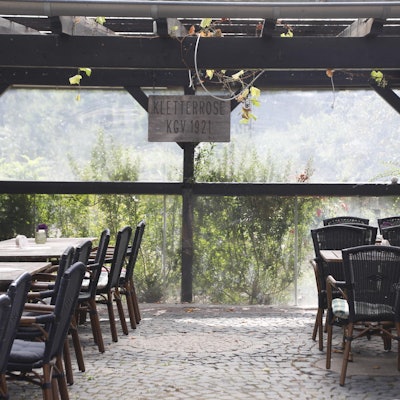 Kletterrose lauschige Plätze in Köln