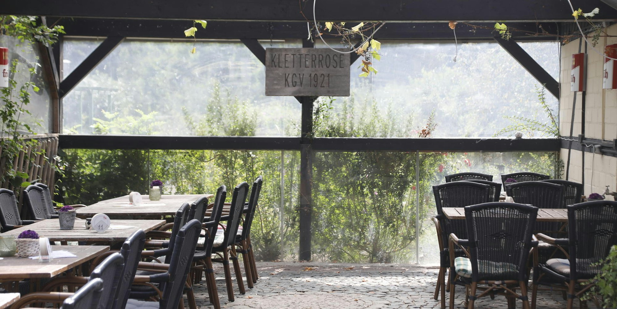 Kletterrose lauschige Plätze in Köln